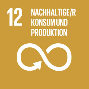 12. Nachhaltiger Konsum und Produktion