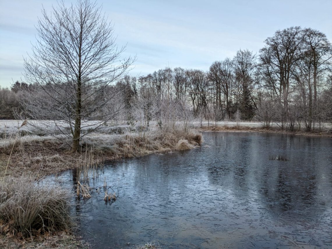 Teich im Winter_2