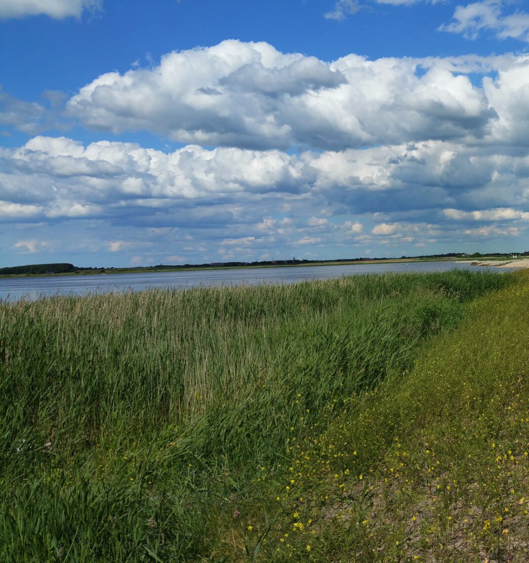 wasser_wind