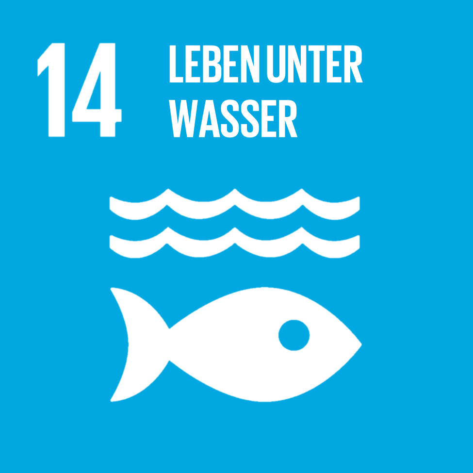 Goal 14 Life Below Water German
