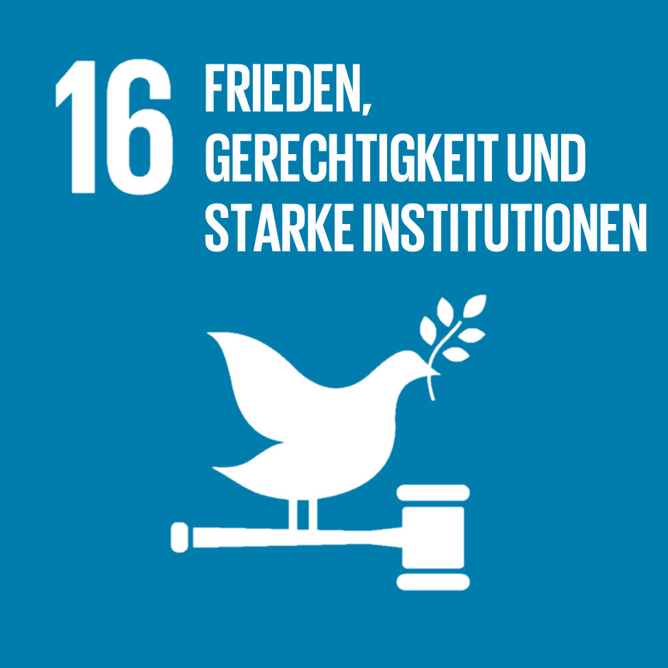 Goal 16 Peace Justice And Strong Institutions German