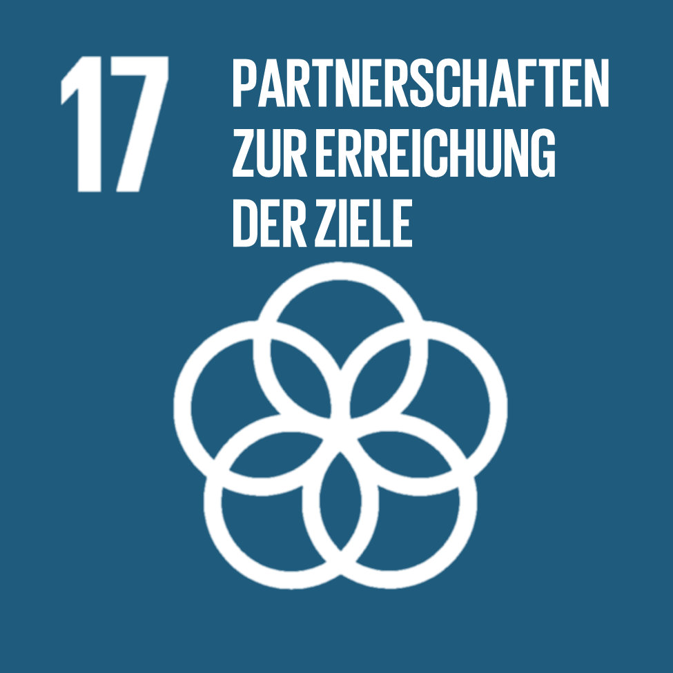 Goal 17 Partnerships For The Goals German