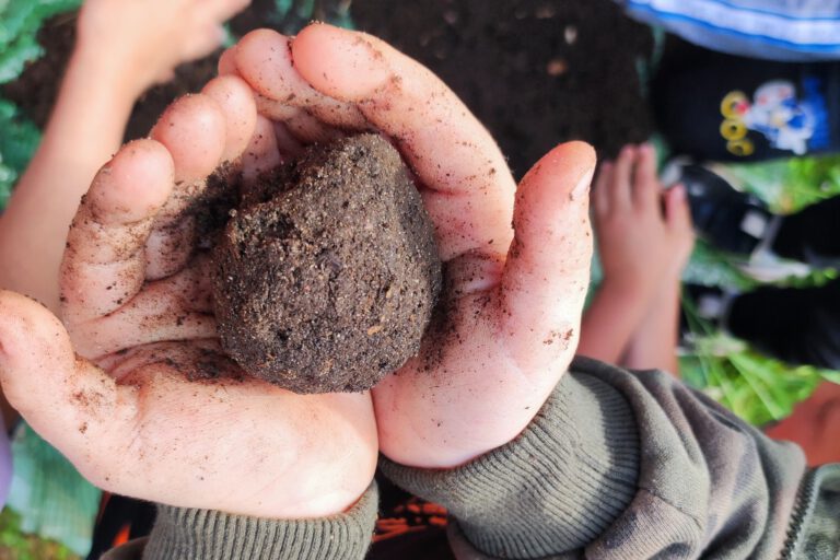 Kugel Kompost Hand Kinder 095004 Ein Kind hält eine Kugel Erde in der Hand