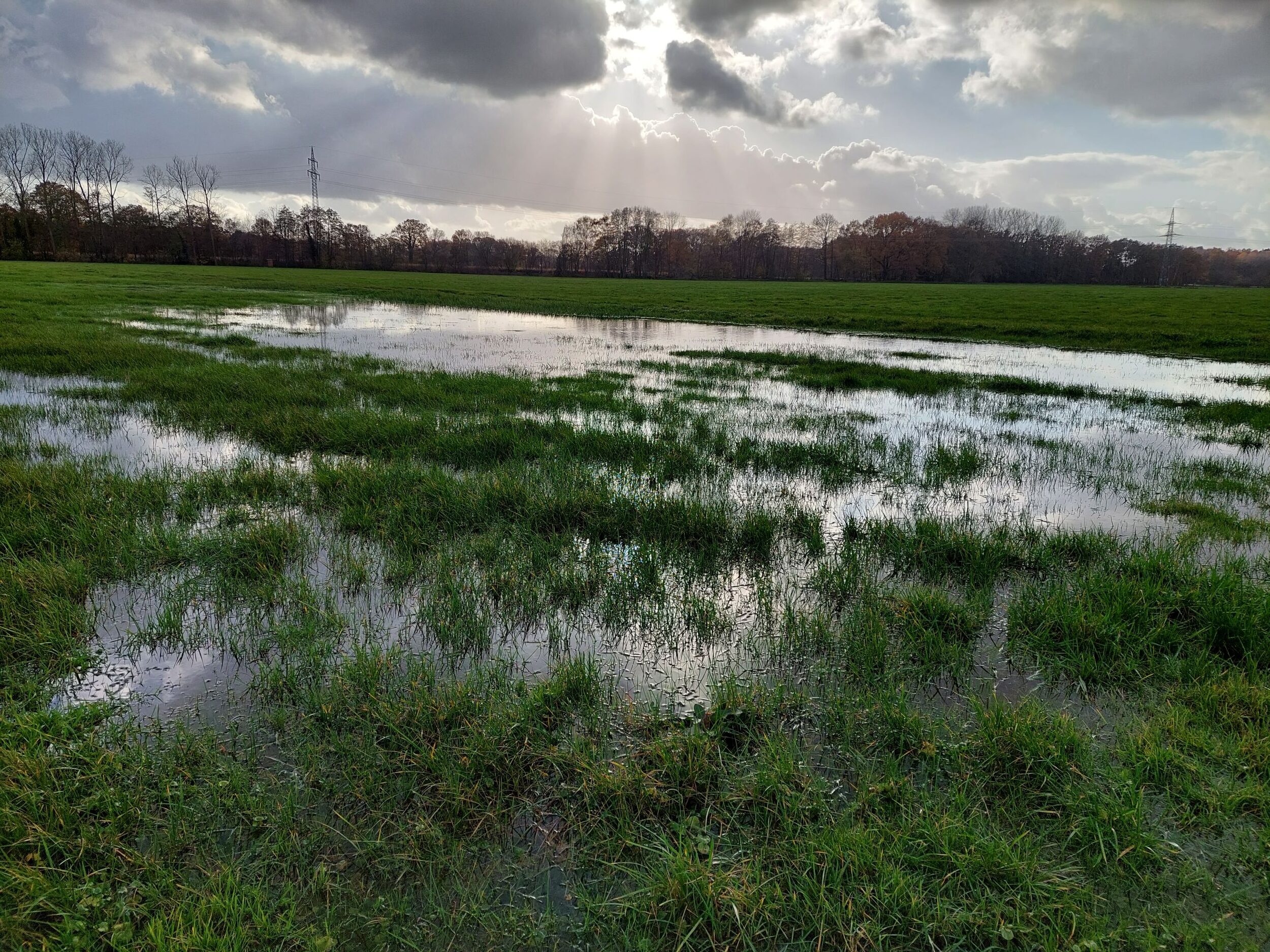 Wasser auf Wiese Wasser steht auf einer Wiese, die Sonne scheint in Strahlen durch Wolken