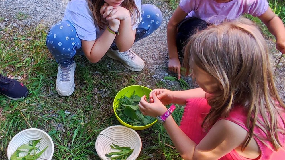 3 Kinder hocken am Wegesrand, vor ihnen 3 kleine Schüsseln, und sie sortieren Wildkräuter